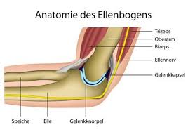 Ellenbogenschmerzen Ursachen Und Behandlung
