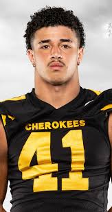 McMinn County's Landon Feggins named TSWA Class 5A All-State