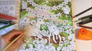 Menuet De Bonheur Part 1 How I Color Forest Using Colored Pencils Tekenen