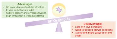 107 highway 80 e, clinton, ms 39056. Cancers Free Full Text Patient Derived Tumor Organoids For Drug Repositioning In Cancer Care A Promising Approach In The Era Of Tailored Treatment Html
