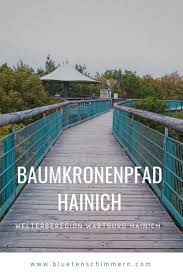 Baumkronenpfad Im Nationalpark Hainich Dem Urwald Aufs Dach Steigen Gunstig Urlaub Buchen Reisen Urlaub Reisen