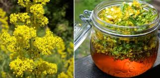 To connect with flori de, sign up for facebook today. Sanziene Planta MagicÄƒ Ce AfecÈ›iuni TrateazÄƒ È™i Unde GÄƒseÈ™ti Floarea Sf Ioan Antena 1