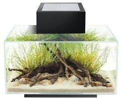 Fluval Edge 6 Gallon Aquarium