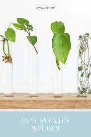 Diy Stekjes Houder Met Glazen Buisjes Handig Diy Stekjes Stekken Planten Plantjes Groeninhuis Urbanjungle Plantlovers Lief Houder Diys Kamerplanten