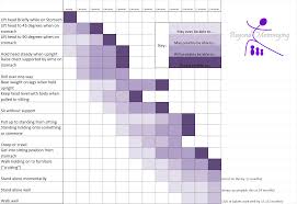 infancy project milestones of fine and gross motor skills