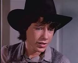 David's Little House Star Profiles and Trivia