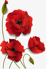 Hand Painted Red Flowers Hand Vector Hand Petal Png And Vector With Transparent Background For Free Download Red Flowers Vector Flowers Flowers