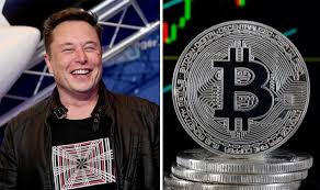 Cryptocurrency is promising, but please invest with caution! Elon Musk Slammed For Doge For Tesla Tease Beginning Of End For Bitcoin Daily Star Post