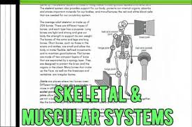 This will give you a good selection of texts that are appropriate for a 6th grade student to read. 5th 6th Grade Life Science Reading Set 2 3 Human Body Systems Pdf