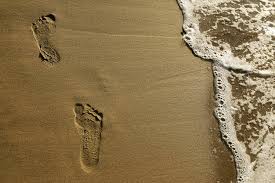 The Magic Of Footprints In Wet Sand Wsj