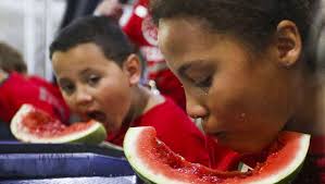 Fort Myers Watermelon Fest seeks seed spitters