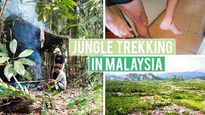 Kuching, nov 18 — a teacher has recently taken the initiative to lead a group of primary and secondary students from his village in nanga sumpa and nearby nanga jambu in lubok antu on a jungle trek just for good internet coverage. Jungle Trekking In Malaysia Giant Leech Attack Youtube