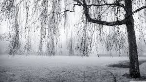 Perfect screen background display for desktop, iphone, pc. Black And White Desktop Wallpapers On Wallpaperdog