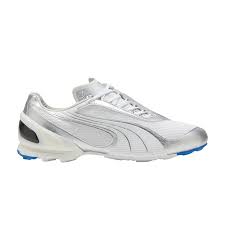 Image result for Vitro 2002 Puma