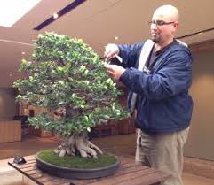 Includes the menu, user reviews, photos, and 143 dishes from bonsai cafe. The Long And Very Short Of Bonsai Medill Reports Chicago