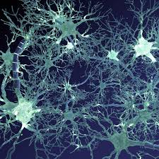 Neural Network 3d Model Ad Neural Network Model 3d Model Networking How To Draw Hands