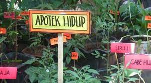 Latihan Soal Prakarya Kelas 7 Smp Mts Semester 2 Bab 3 Budidaya Tanaman Obat Ahzaa Net