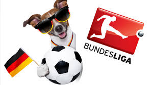 Bielefeld can save itself with a victory in stuttgart, bremen (at home against gladbach) and cologne (against schalke) are dependent on outside. Betting Focus On German Bundesliga Relegation Battle