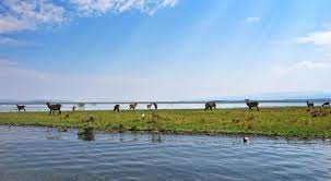 From luxury to budget hotels, with skyscanner you can compare accommodation in naivasha from all the top providers in one search. Lake Naivasha Malerischer See Im Hochland