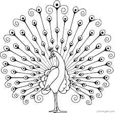 Click here and download the abstract peacock for coloring book graphic · window, mac, linux · last updated 2021 · commercial licence included ✓. Peacock Coloring Pages Coloringall