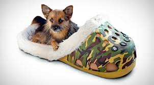 Pet supplies pet profiles dogs cats fish & aquatics small animals birds reptiles horses deals & coupons pet care tips subscribe & save veterinary diets. This Gigantic Croc Shoe Is The Perfect Pet Bed Here S Why Country Rebel