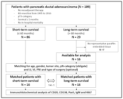 Candidates who pass the cfa level 2 exam automatically advance to the cfa® level. Ijms Free Full Text Upregulation Of Cd20 Positive B Cells And B Cell Aggregates In The Tumor Infiltration Zone Is Associated With Better Survival Of Patients With Pancreatic Ductal Adenocarcinoma Html