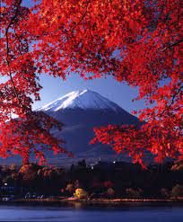Mount fuji, located on the island of honshū, is the highest mountain in japan, standing 3,776.24 m. Mount Fuji Japan Monte Fuji Lugares Bonitos Paisagens