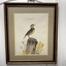 Don Whitlatch signed print Eastern Meadowlark matted framed large