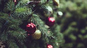 Fast, reliable delivery to your door. Christmas Tree Shopping In Surrey Discover Surrey