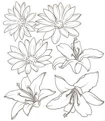 Feminine Flower Tattoos Black And White Google Search Flower Drawing Daisy Tattoo Flower Sketches