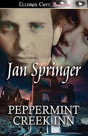 Peppermint Creek Inn (Undercover, #1) by Jan Springer