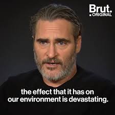 Fabulously Vegan Kitchen