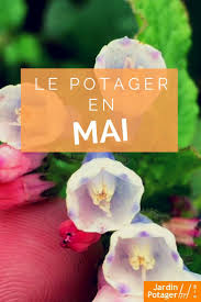 Agenda Mensuel Du Jardinier Potager Printemps Jardinage Potager Potager Permaculture