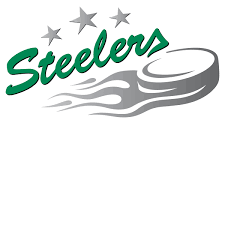 We did not find results for: Pittsburgh Steelers Wordmark Logo Download Logo Icon Png Svg