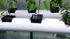 Aquaponics System For Under 200 Youtube