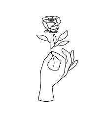 The goal is to establish some structure of the inner part of the rose so that when you draw the individual petals later it will be easier to correctly proportion them in relation to one another. 1 417 Hand Holding Rose Stock Illustrations Cliparts And Royalty Free Hand Holding Rose Vectors