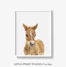 Pin On Home Girls Rooms