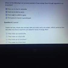 Which Of The Following Is An Accurate Example Of How Energy Flows Through Organisms In An Ecosystem Brainly Com