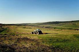Find clearing land for farming on topsearch.co. How To Clear Land For Farming Farm Animals