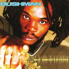 Bushman