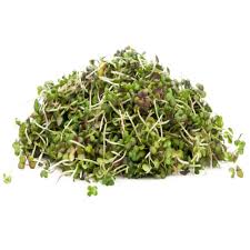 Brotes De Mostaza 50 Gr
