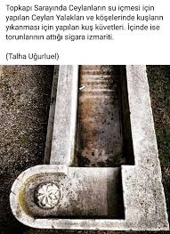 Slm Ycl Adli Kullanicinin Zeytin Panosundaki Pin Gercekler Bilgi Alintilari En Iyi Alintilar