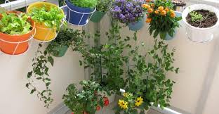 How to build a beautiful waterfall aquarium very easy \ for your family garden. Simple Tips To Set Up Your Balcony Garden Rivulite Blog