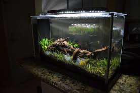 Great savings & free delivery / collection on many items. Aquascape Ideas Fluval Spec Aquascape