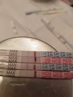 Como lo monitoriza todo, sabe que suele ovular el día 17 de su ciclo y suele tener una fase lútea de 13 días. 6 Dias De Retraso Flujo Marron Y Test De Embrazo Negativo