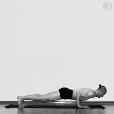 Chaturanga Dandasana Ashtangayoga Info