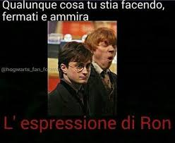 Curiosita Su Harry Potter E Molto Altro Umorismo Su Harry Potter Immagini Divertenti Harry Potter