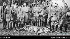 The Prince of Wales tiger shooting in Nepal, the Indian Tour, 1921. Artist: Unknown - Album alb3929104