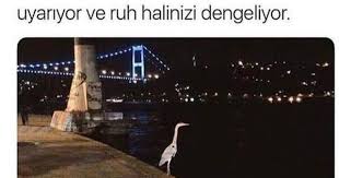Derin Deniz Oyle Bir Cemiyettir Ki Hicbir Sey Onun Huzurunu Bozmaz Lord Byron Parapsikoloji Psikoloji Kisiselgelisim Parapsikoloji Lord Byron Psikoloji