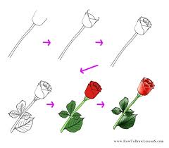 It is the bud of the rose. Rose Drawing Tutorial How To Draw Lessons Desenho Passo A Passo Tecnicas De Desenho Aprender A Desenhar